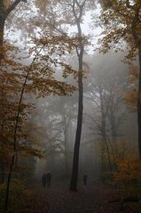 Spaziergang im Nebel