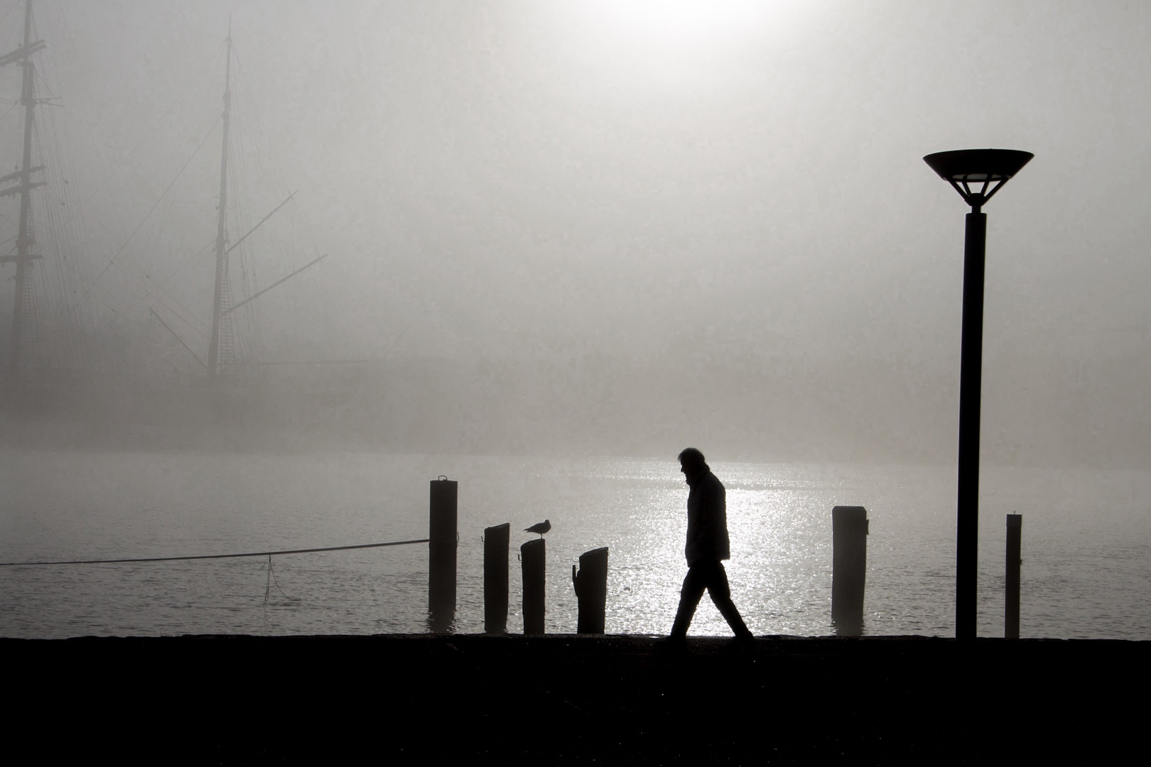 Spaziergang im Nebel