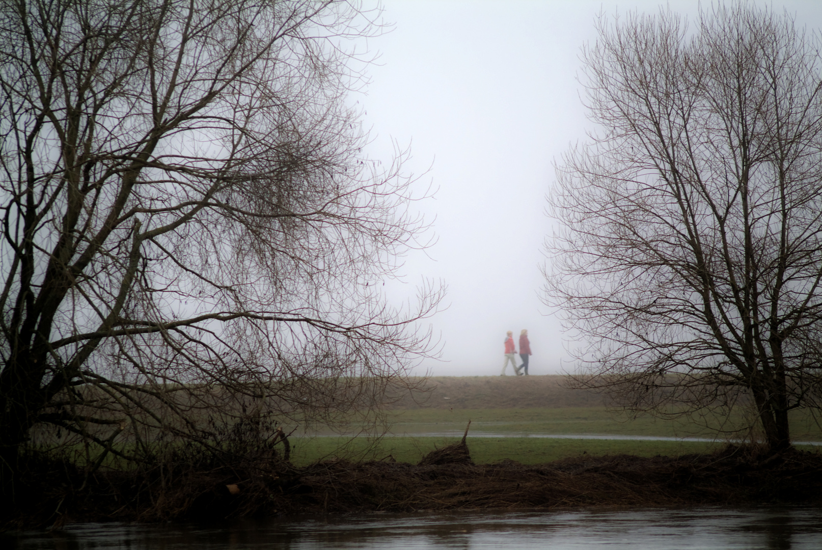 Spaziergang im Nebel bei Hochwasser