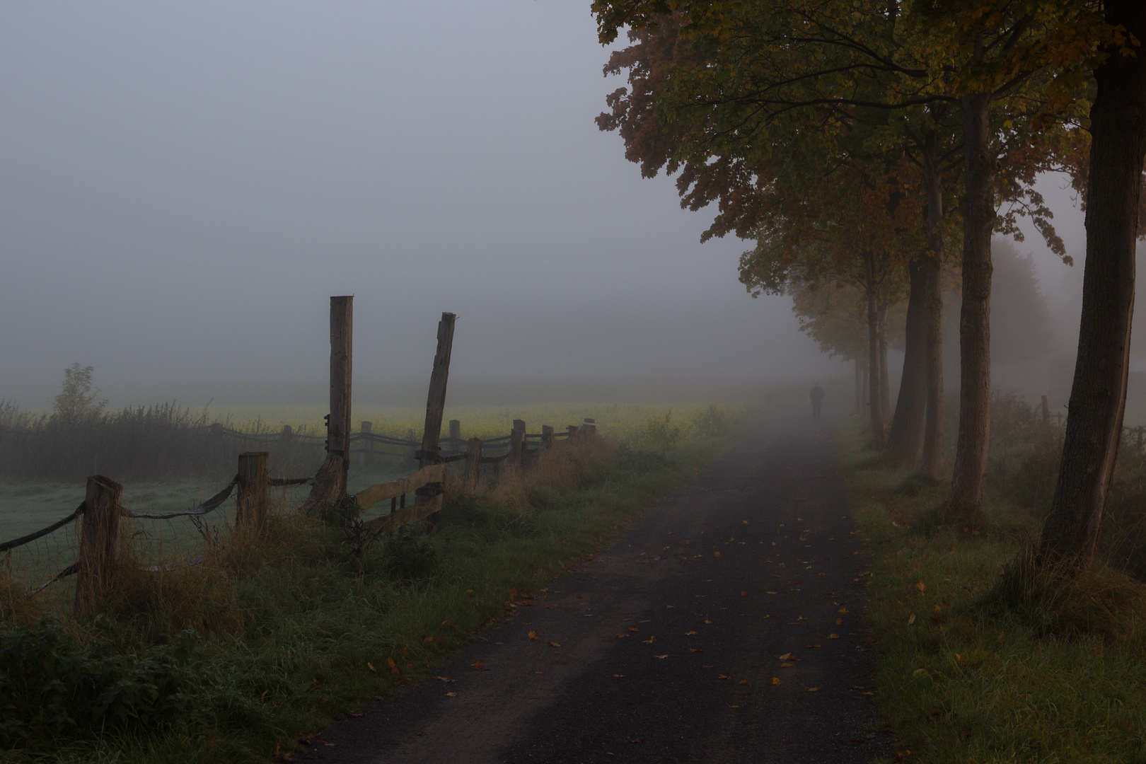 Spaziergang im Nebel