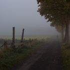 Spaziergang im Nebel