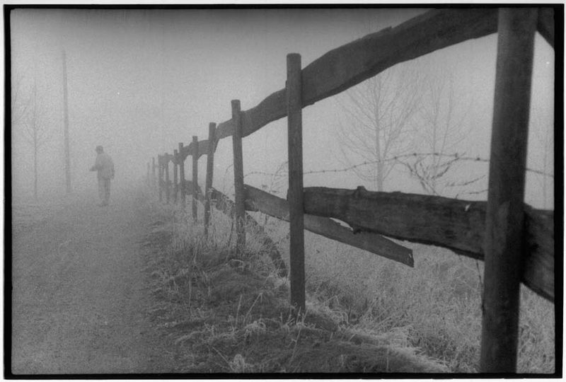 Spaziergang im Nebel