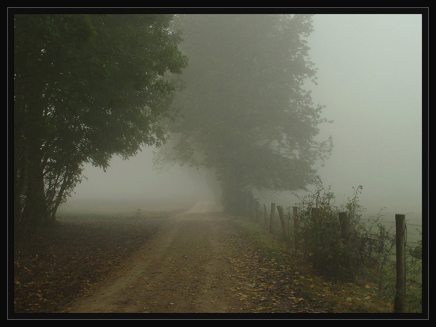 Spaziergang im Nebel