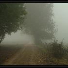 Spaziergang im Nebel