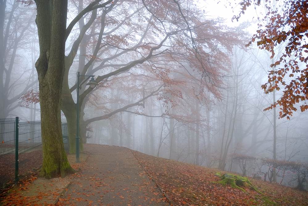 Spaziergang im Nebel