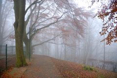 Spaziergang im Nebel