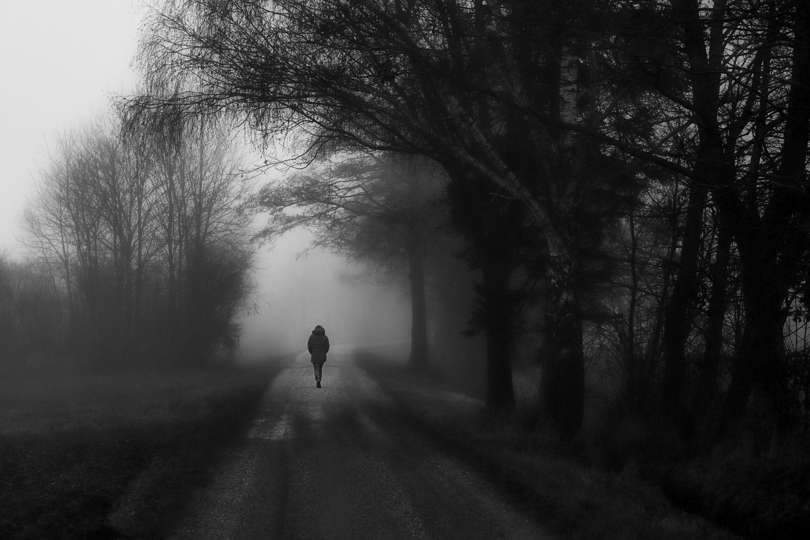 Spaziergang im Nebel