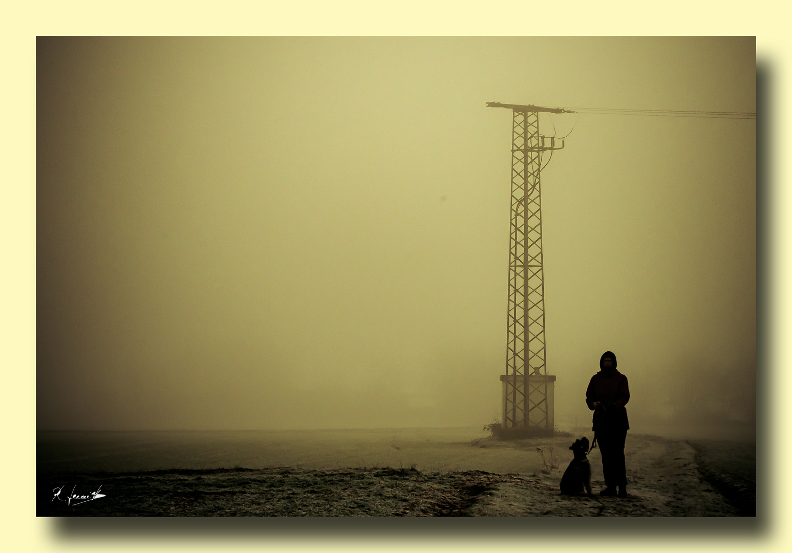 Spaziergang im Nebel