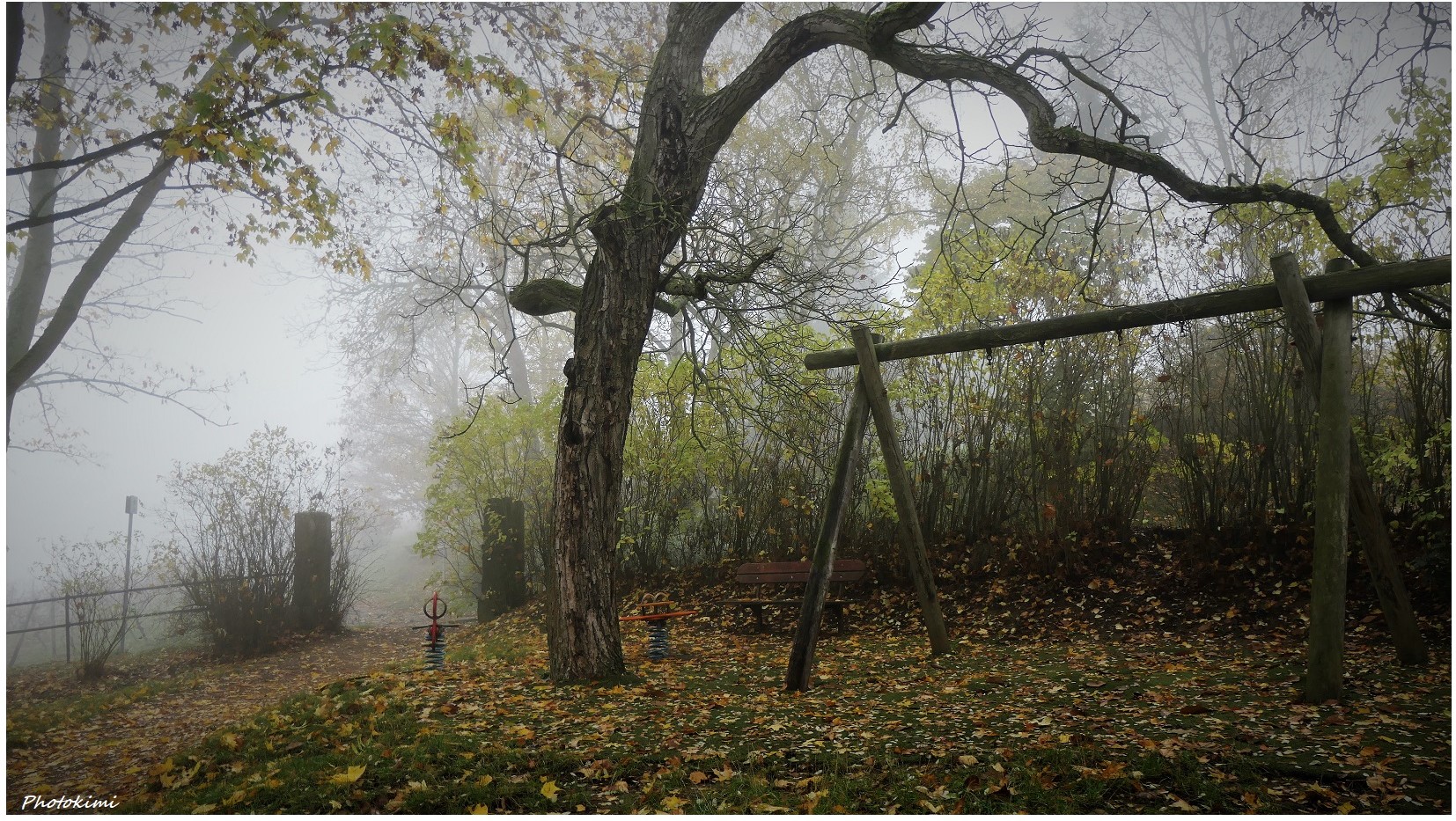 Spaziergang im Nebel (III)