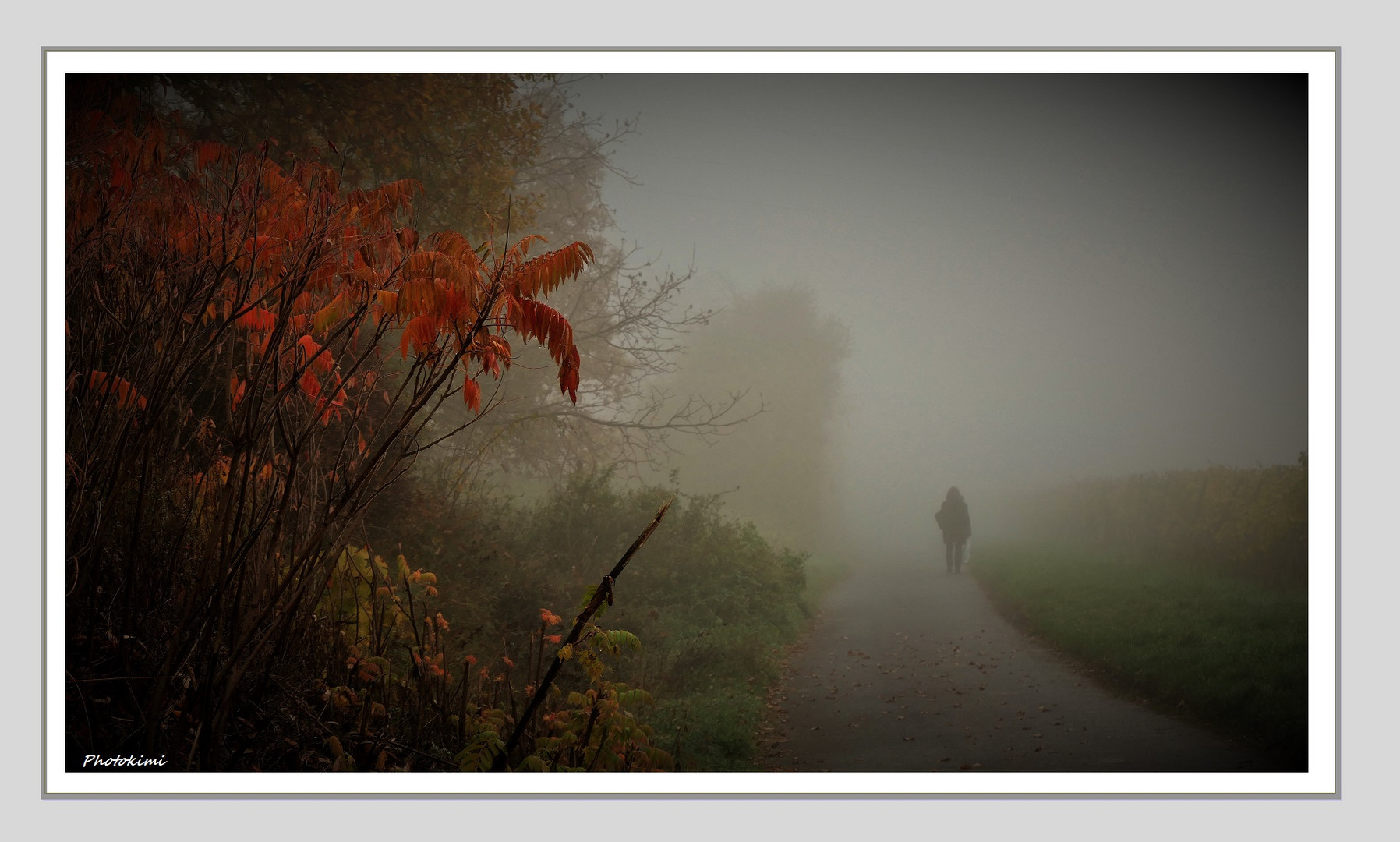 Spaziergang im Nebel (IX)