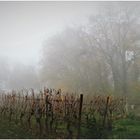 Spaziergang im Nebel (VI)