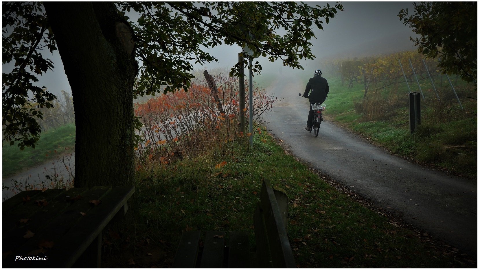 Spaziergang im Nebel (VII)