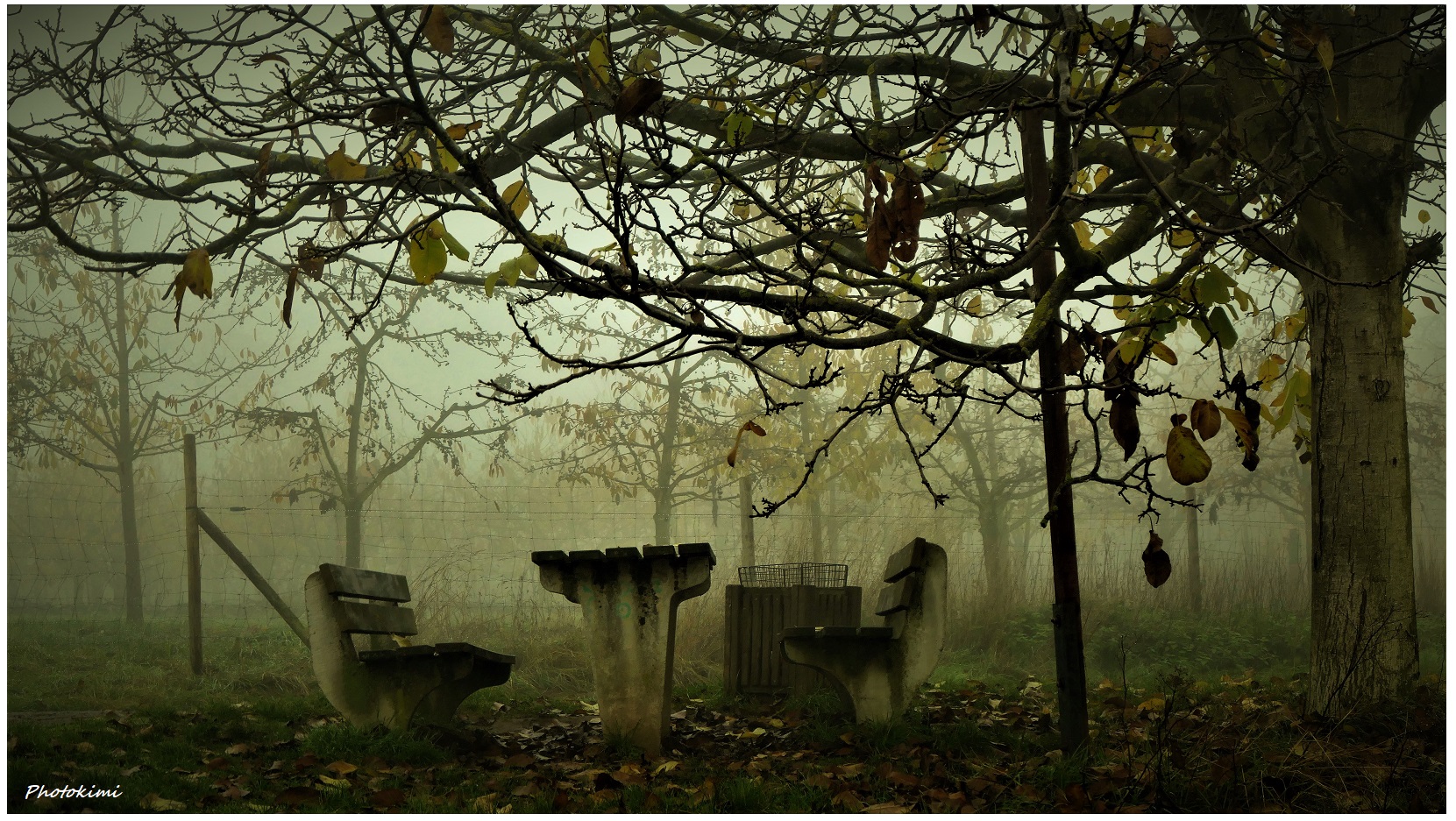 Spaziergang im Nebel (XIV)