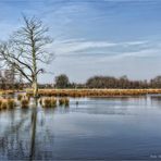 Spaziergang im Nettebruch ... am linken Niederrhein