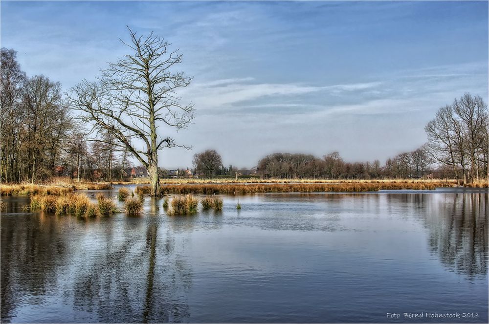 Spaziergang im Nettebruch ... am linken Niederrhein