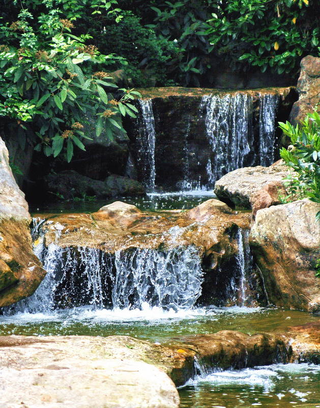 Spaziergang im Nordpark 3