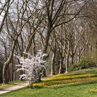 Spaziergang im Nordpark Wuppertal