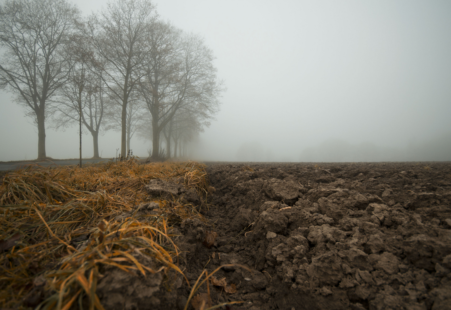 Spaziergang im November