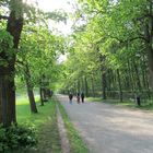 Spaziergang im Nymphenburger Park