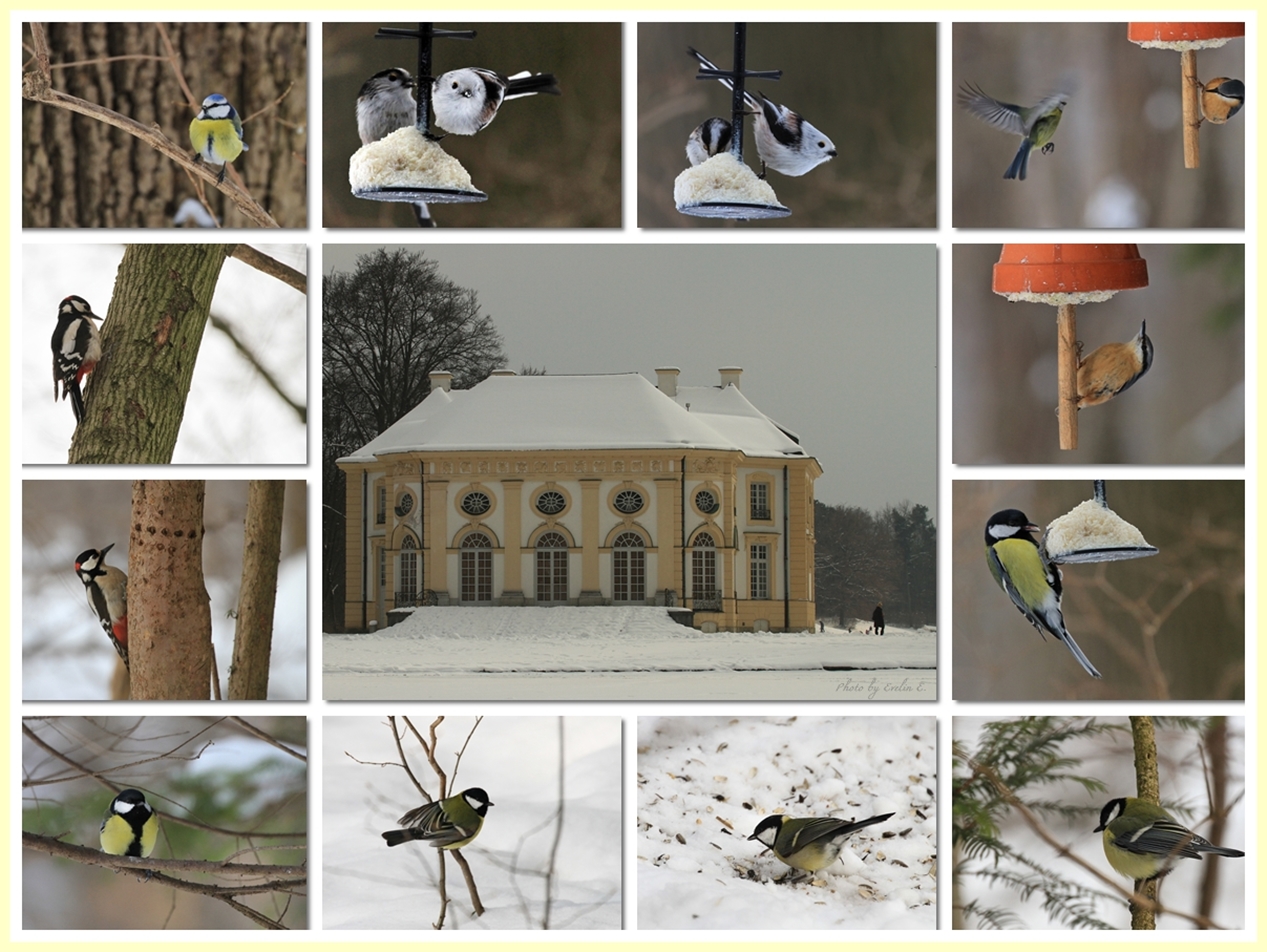 Spaziergang im Nymphenburger - Park