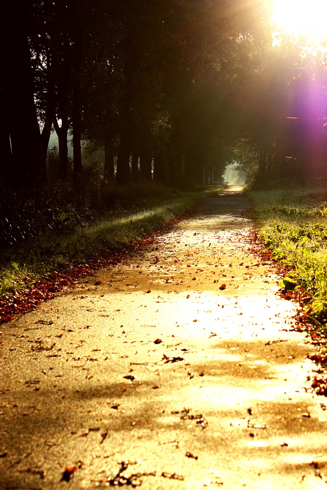 Spaziergang im Oktoberlicht