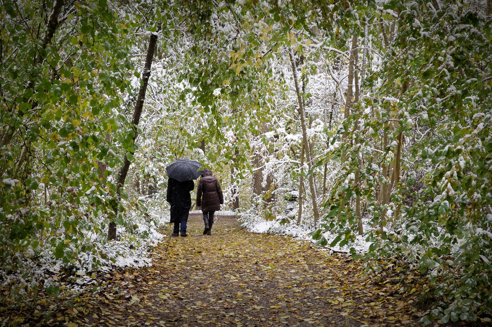 Spaziergang im Oktoberschnee