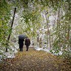 Spaziergang im Oktoberschnee