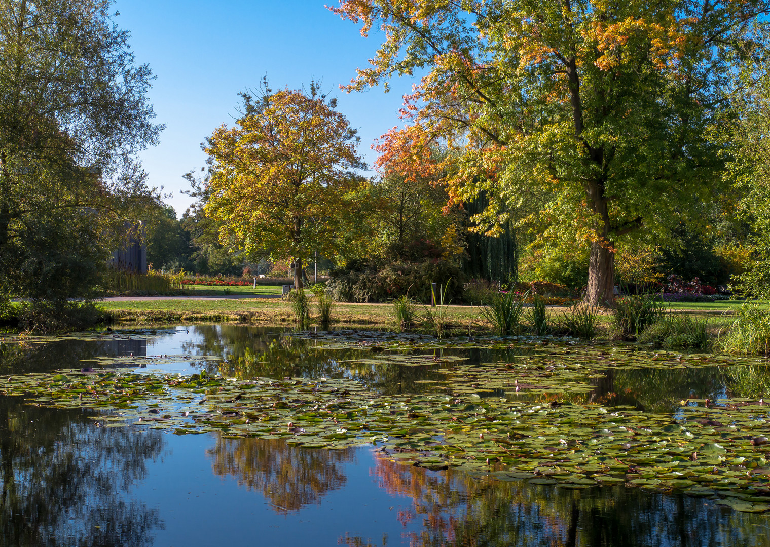 Spaziergang im Park