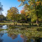 Spaziergang im Park