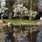 Spaziergang im Park