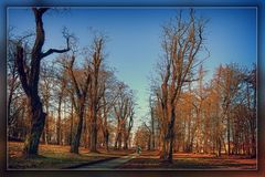 Spaziergang im Park