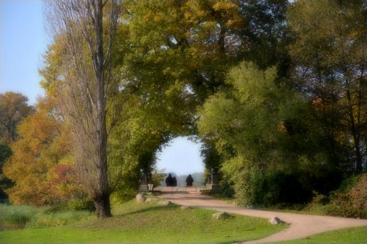 Spaziergang im Park