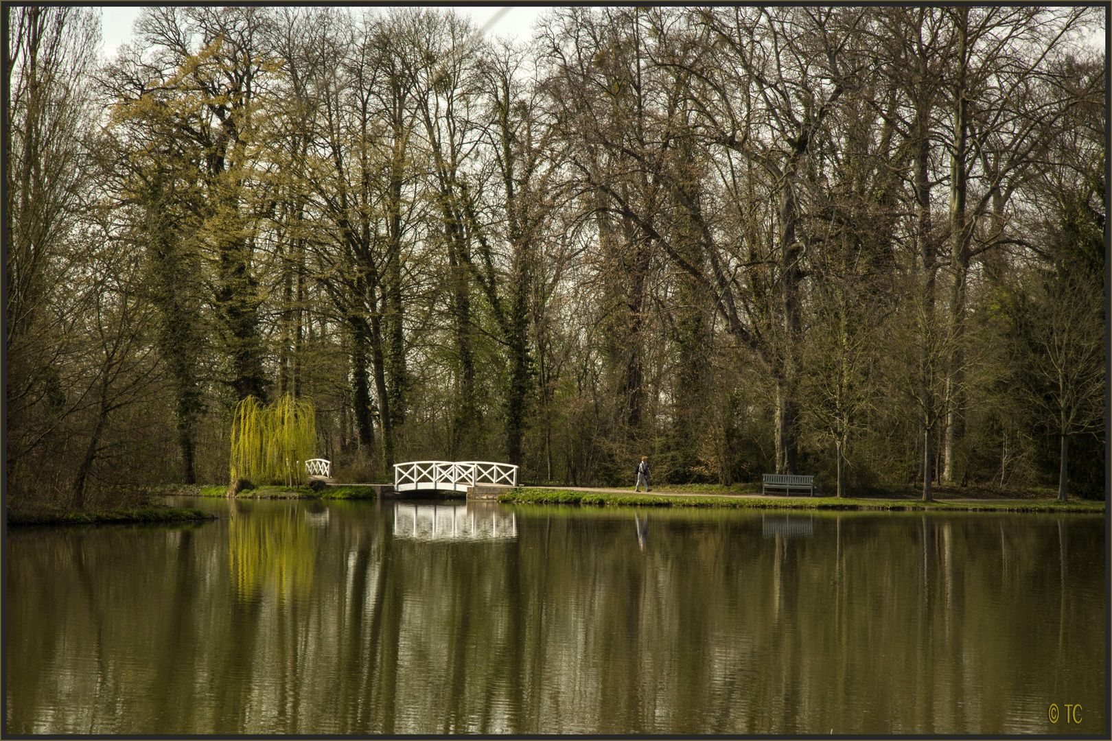 SPAZIERGANG IM PARK