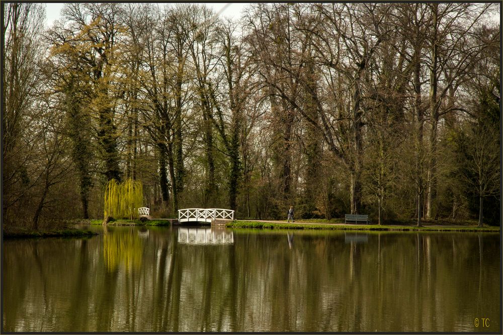 SPAZIERGANG IM PARK