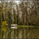 SPAZIERGANG IM PARK