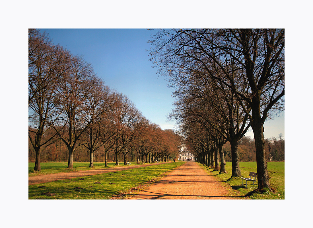 Spaziergang im Park