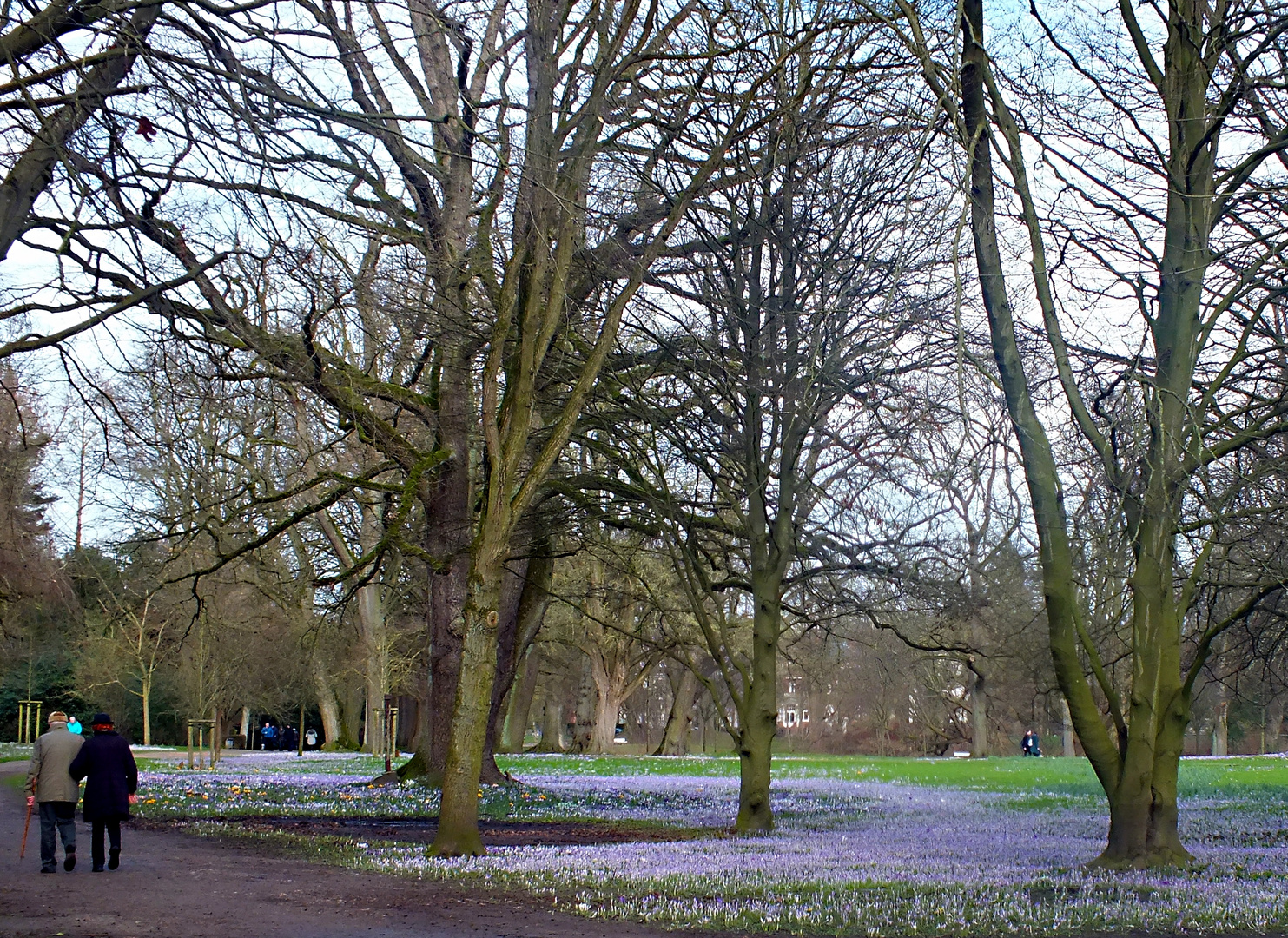 Spaziergang im Park