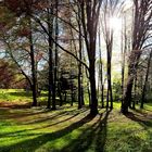 Spaziergang im Park