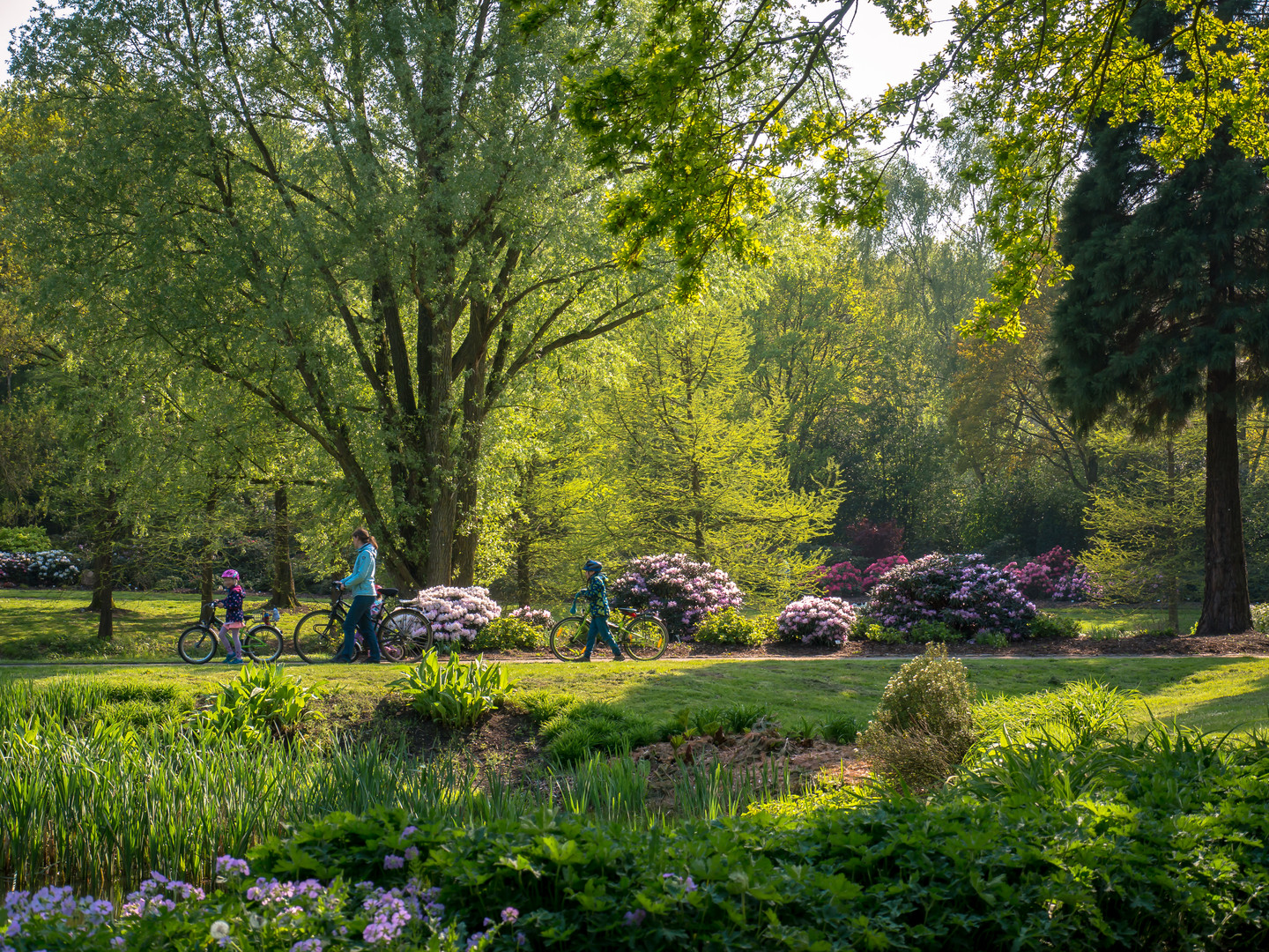 Spaziergang im Park