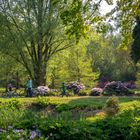 Spaziergang im Park