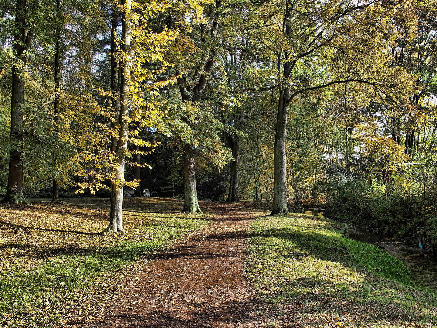 Spaziergang im Park