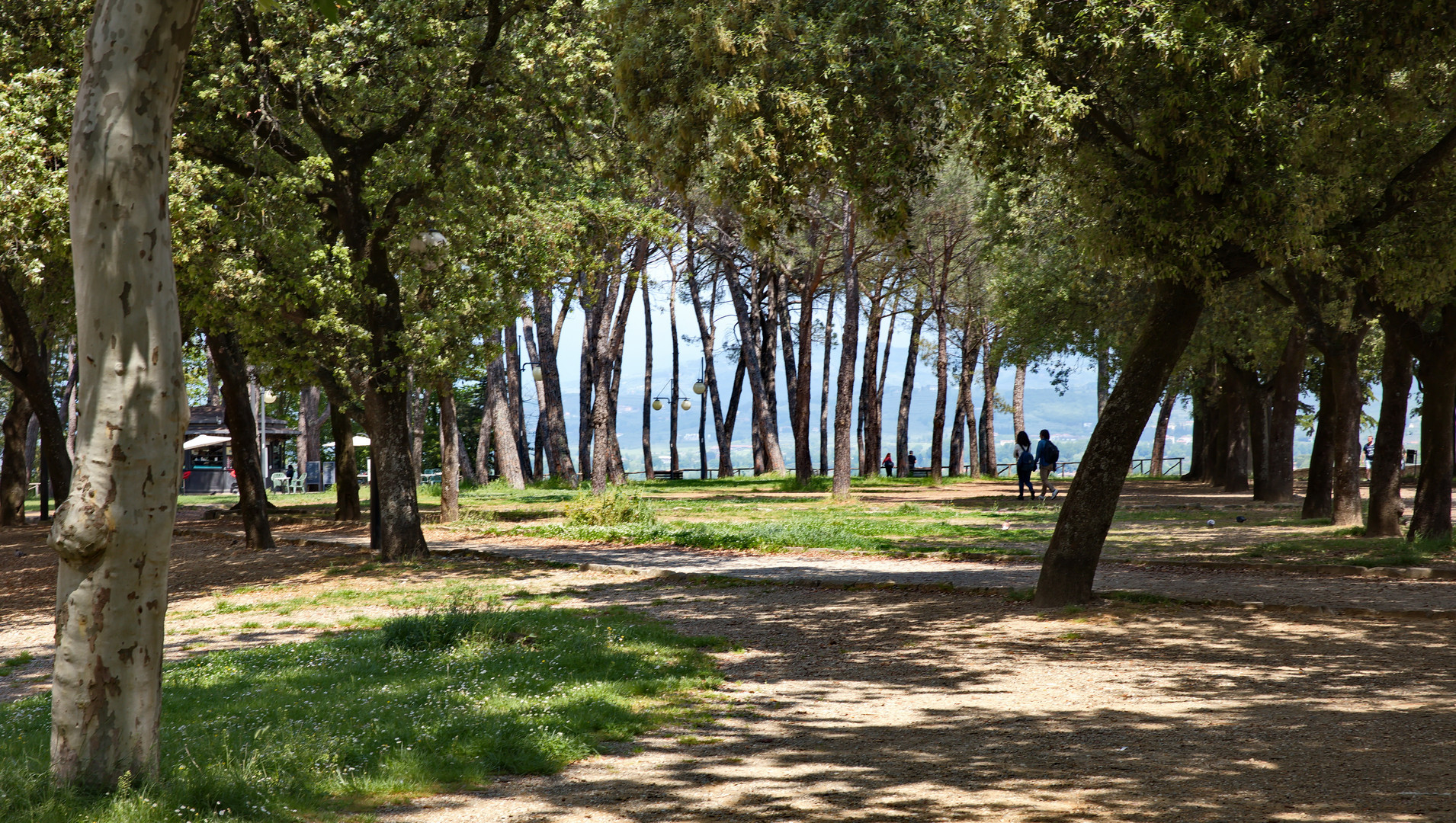 Spaziergang im Park