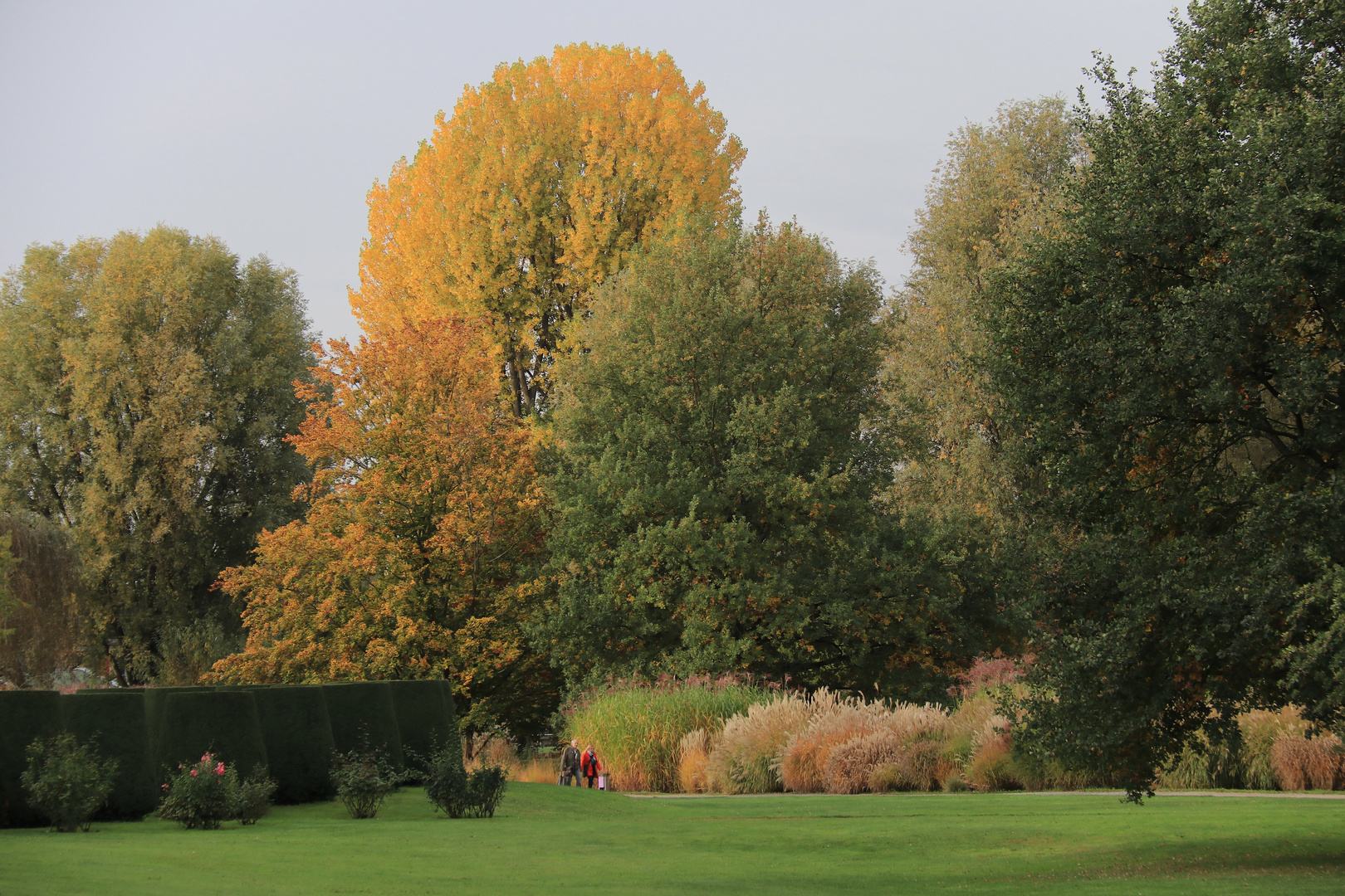 Spaziergang im Park