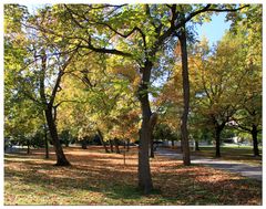 SPAZIERGANG IM PARK