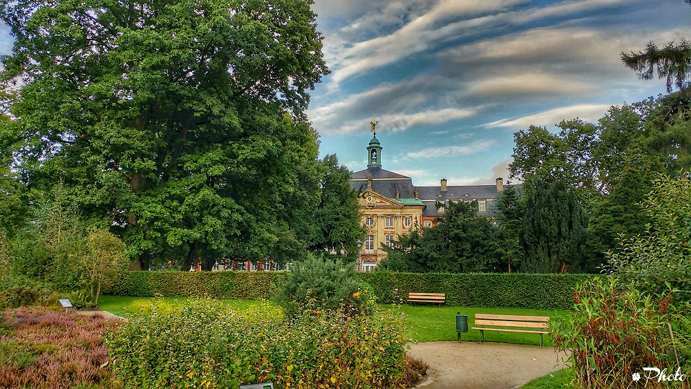 Spaziergang im Park