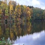 Spaziergang im Park...