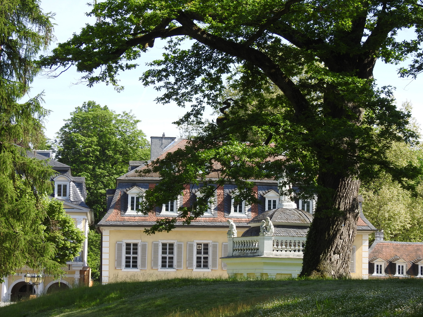 Spaziergang im Park ...