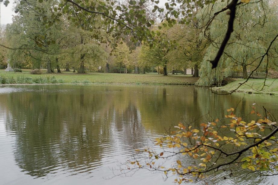 Spaziergang im Park