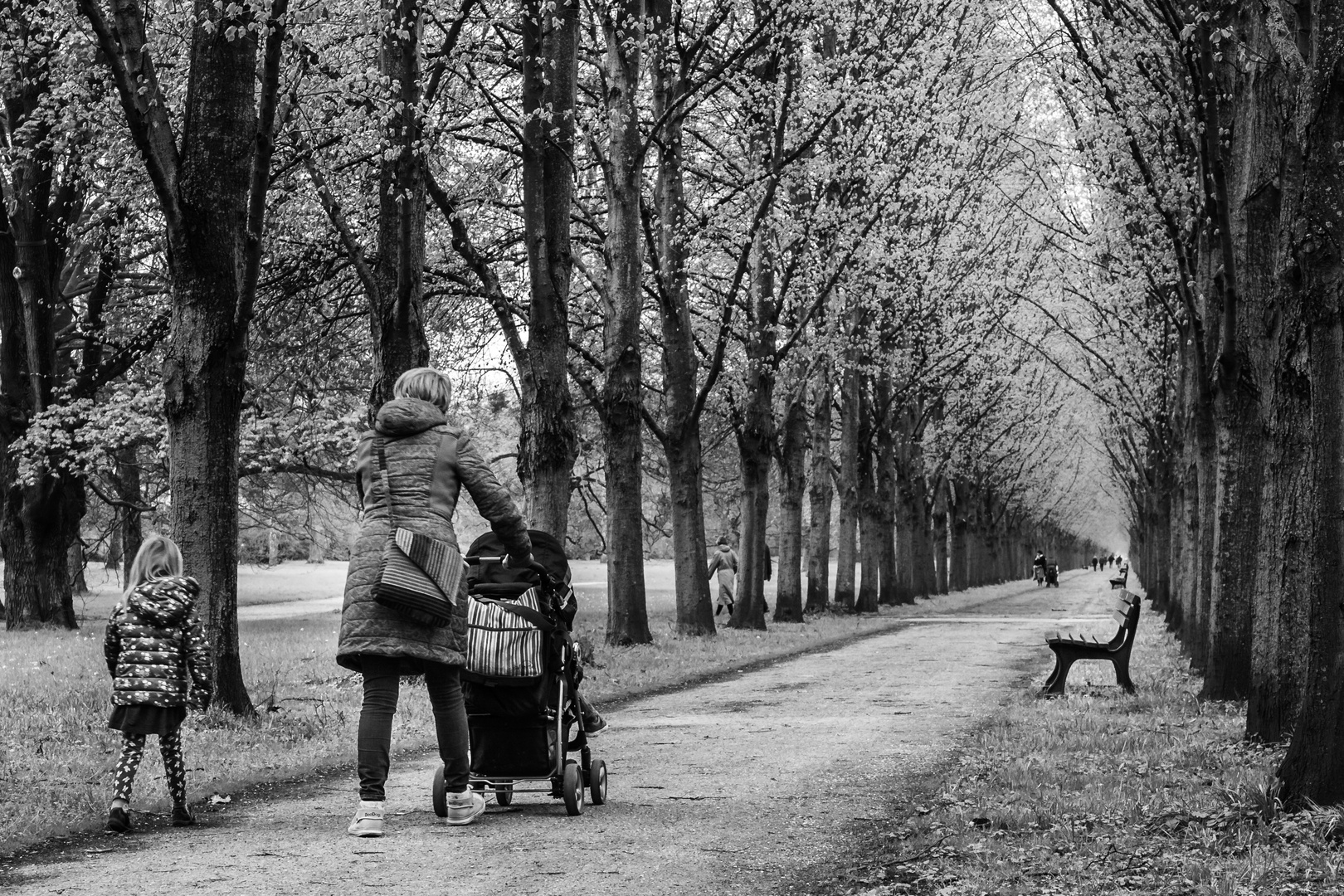 Spaziergang im Park