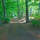 Spaziergang im Park am Buckowsee